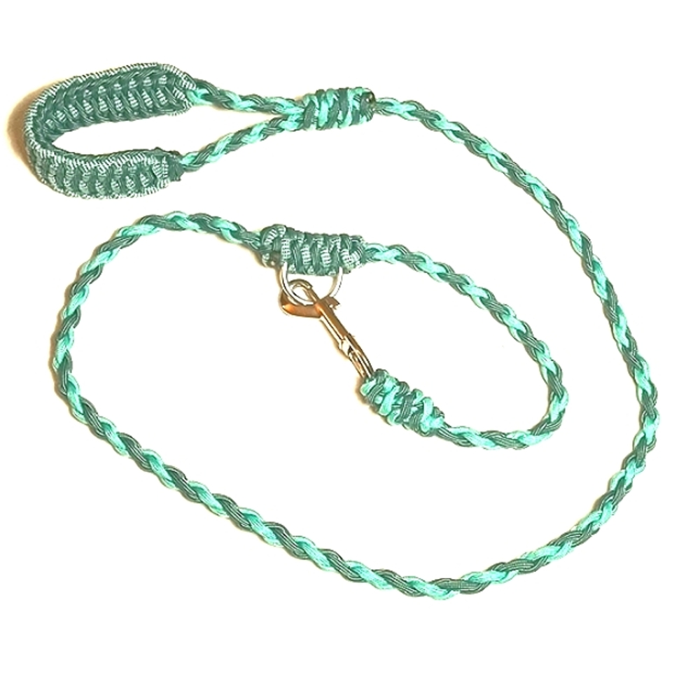 Short Paracord Leash For In Town/ City Walking